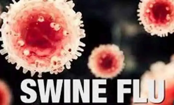 Swine flu: तेजी से बढ़ रहा स्वाइन फ्लू का प्रकोप ! 14 नए मरीजों की पुष्टि!