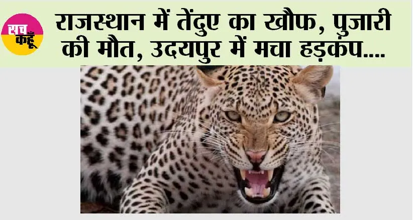 तेंदुए के हमले से पुजारी की मौत, अब तक हुई 6 मौतें, उदयपुर में मचा हड़कंप