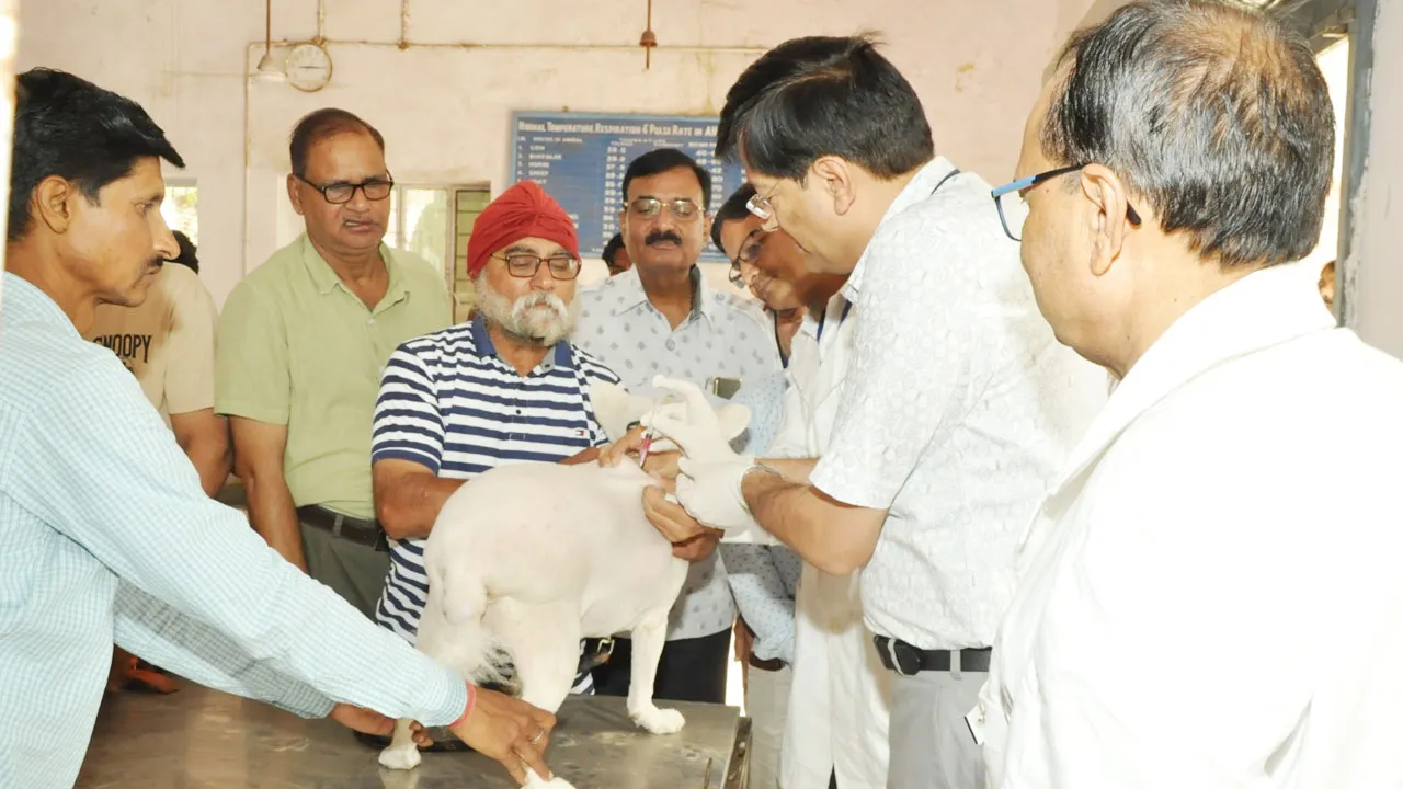 World Rabies Day: विश्व रेबीज दिवस पर लगाए गए एंटी रेबीज टीके