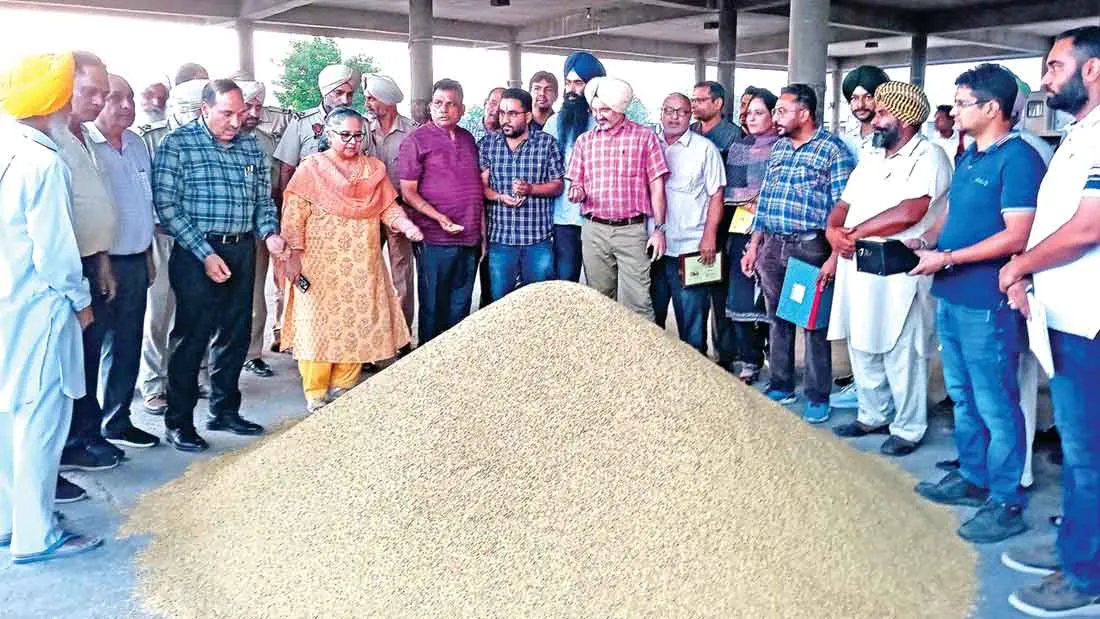 डीसी ने अनाज मंडी बरनाला का किया दौरा, धान की खरीद करवाई शुरू