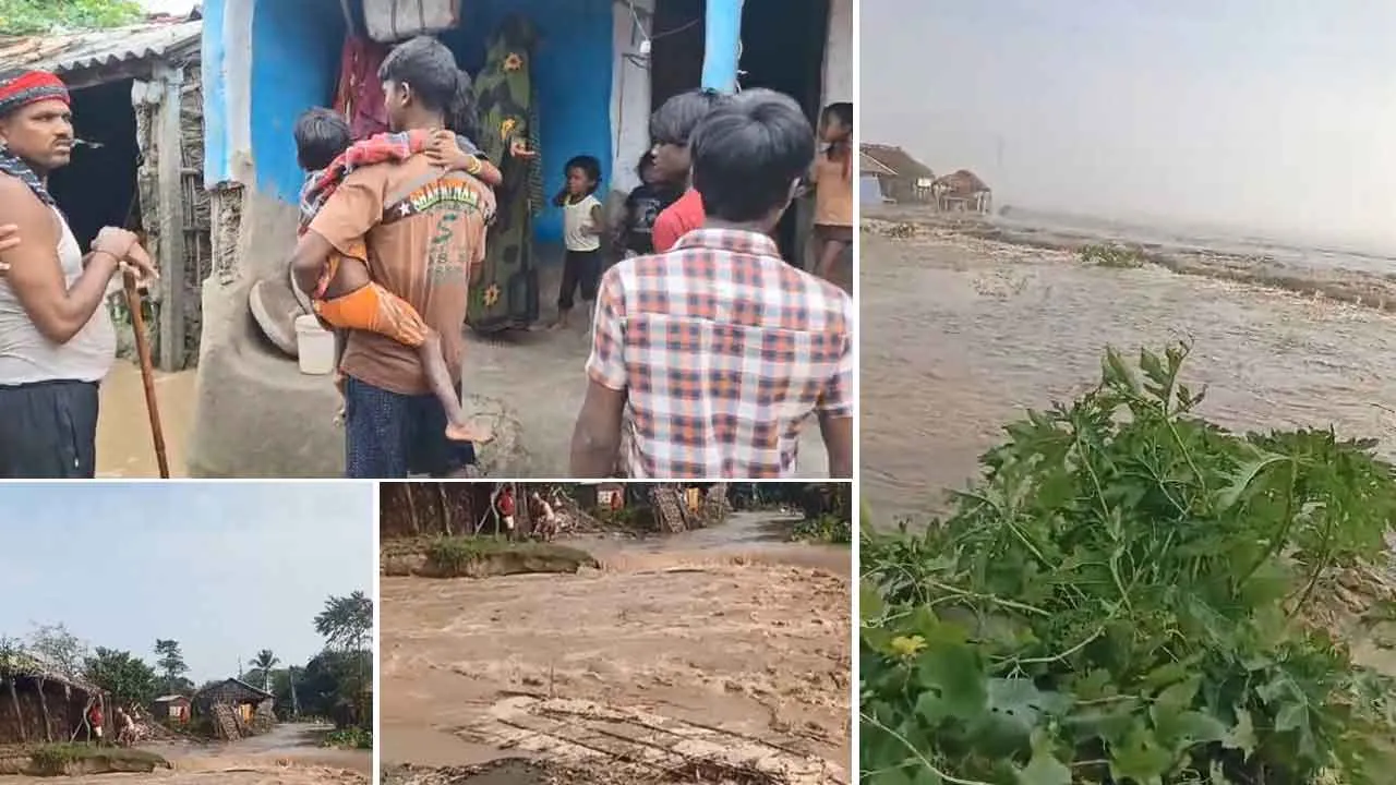 Bihar Flood: बिहार में बाढ़ का कहर, मानवता की सेवा में आगे आए ग्रीन एस सेवादार