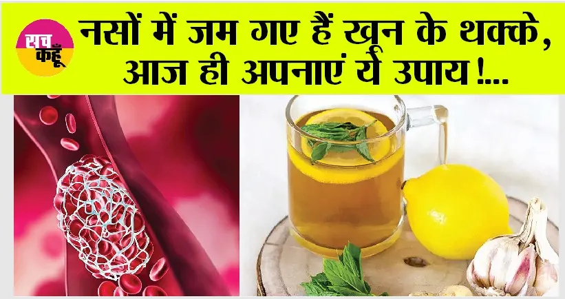 Blood Thinning Food: ये 5 चीजें खाएं और पाएं ब्लड क्लॉट से मुक्ति