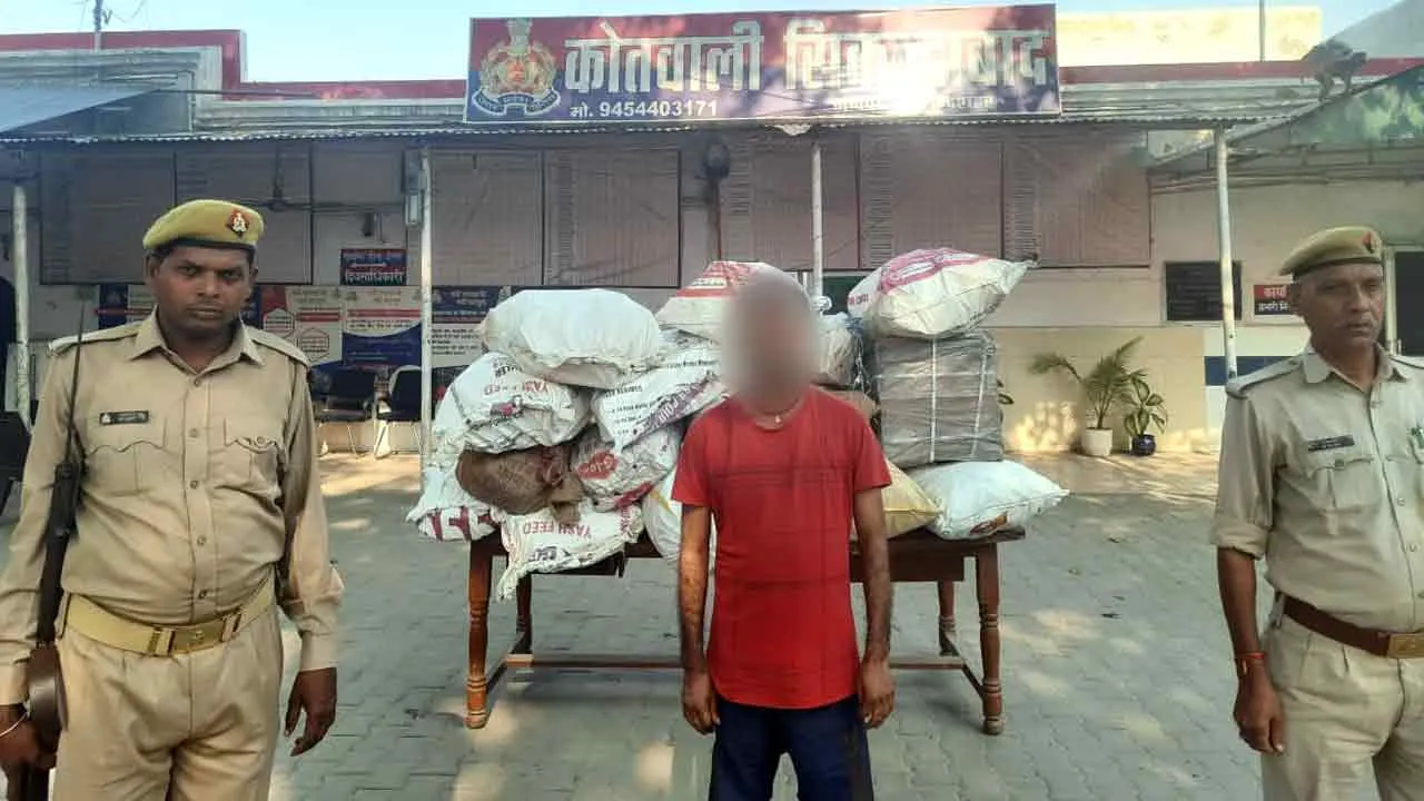 4 लाख रुपए के पटाखे के साथ एक गिरफ्तार: 16 बोरी व 1 कार्टून समेत अवैध पटाखे बरामद, सिकन्द्राबाद के गांव फरीदपुर का मामला