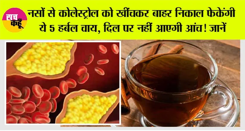 Cholesterol Melting Tea: नस-नस में जमे कोलेस्ट्रॉल को बाहर खींच लाएंगी ये 5 हर्बल चाय, दिल पर कभी नहीं आएगी आंच!