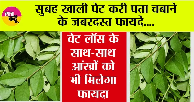 Curry Leaves Benefits: सुबह खाली पेट करी पत्ता चबाने के जबरदस्त फायदे, वेट लॉस के साथ-साथ आंखों को भी मिलेगा फायदा