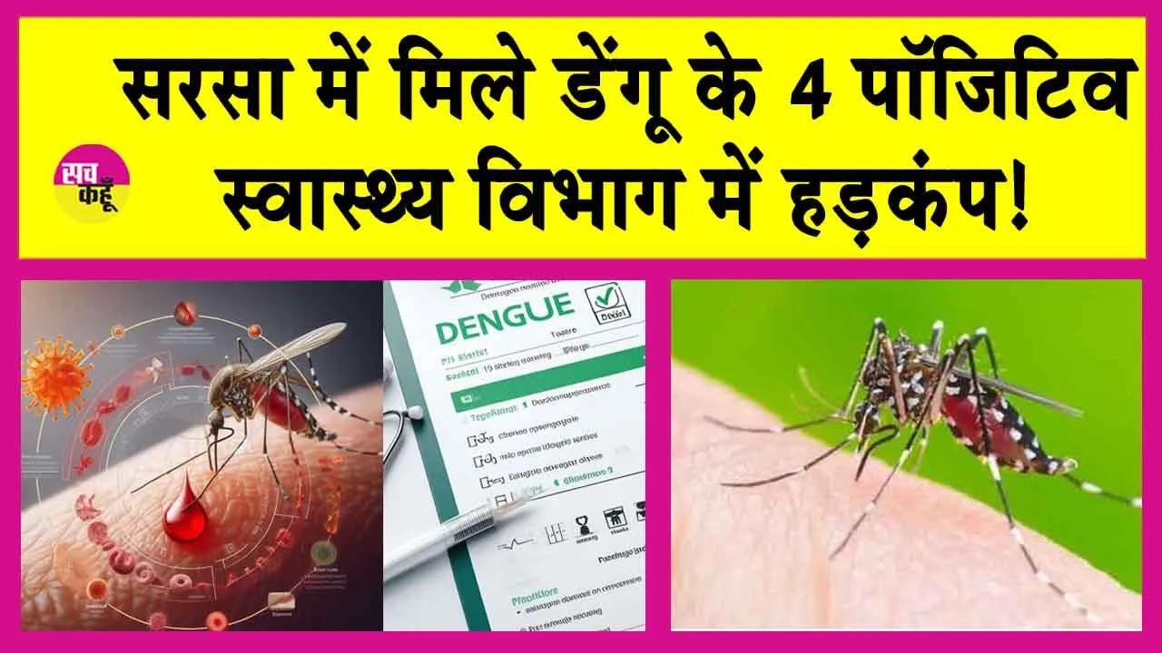 Dengue Positive: सरसा में डेंगू के चार पॉजिटिव मिलने से हड़कंप!