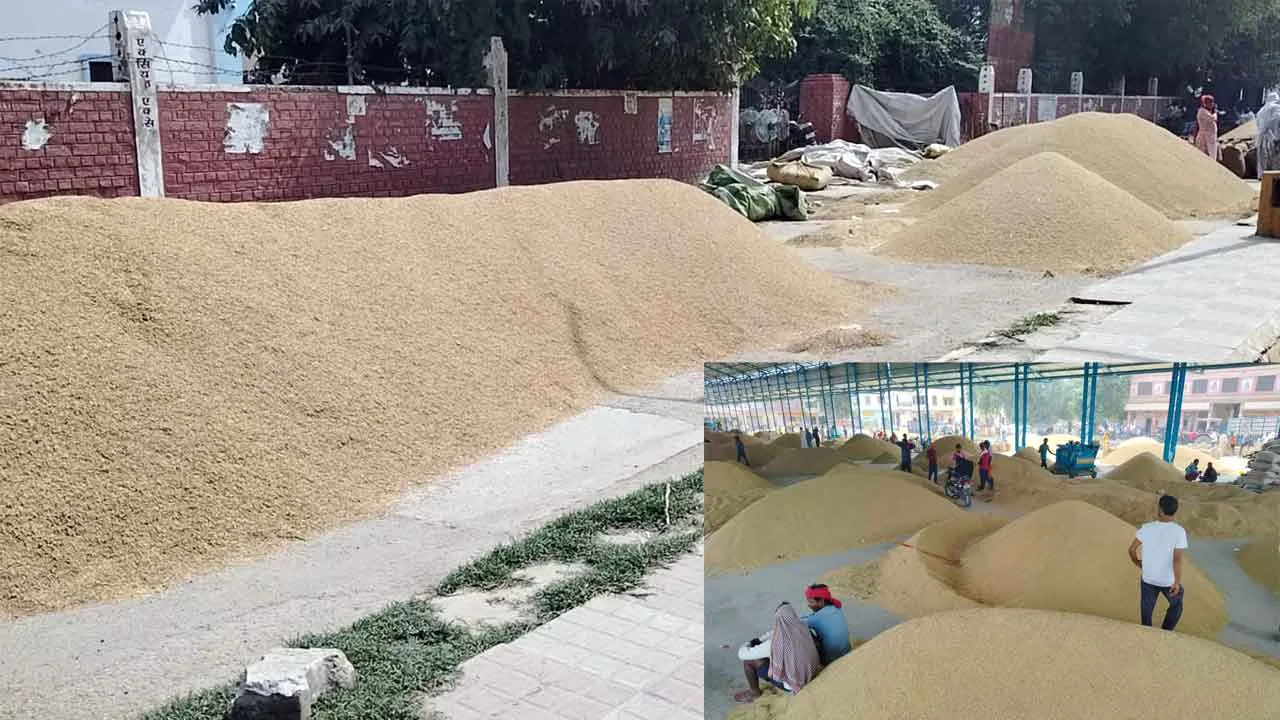 अनाज मंडियों में चारो तरफ धान ही धान, मंडियों के रास्ते हुए जाम, उठान में आ रही दिक्कते