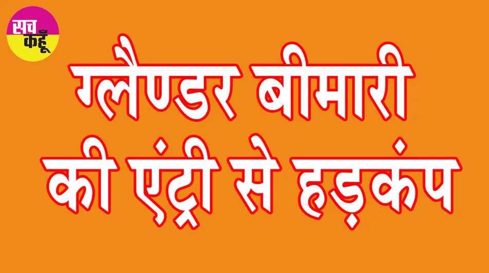 Glanders Disease: हिसार में ग्लैण्डर बीमारी की एंट्री से हड़कंप