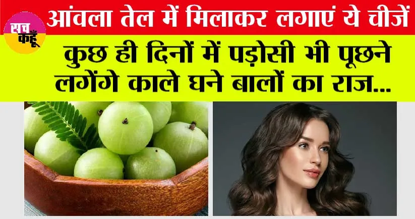 Hare Care: आंवला तेल में मिलाकर लगाएं ये चीजें, कुछ ही दिनों में पड़ोसी भी पूछने लगेंगे काले घने बालों का राज.