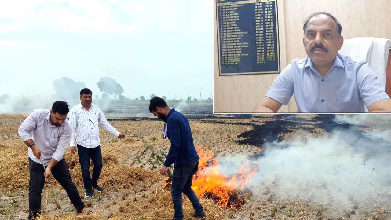 सावधान! अब पराली जलाई तो नहीं बिकेगी एमएसपी पर फसल