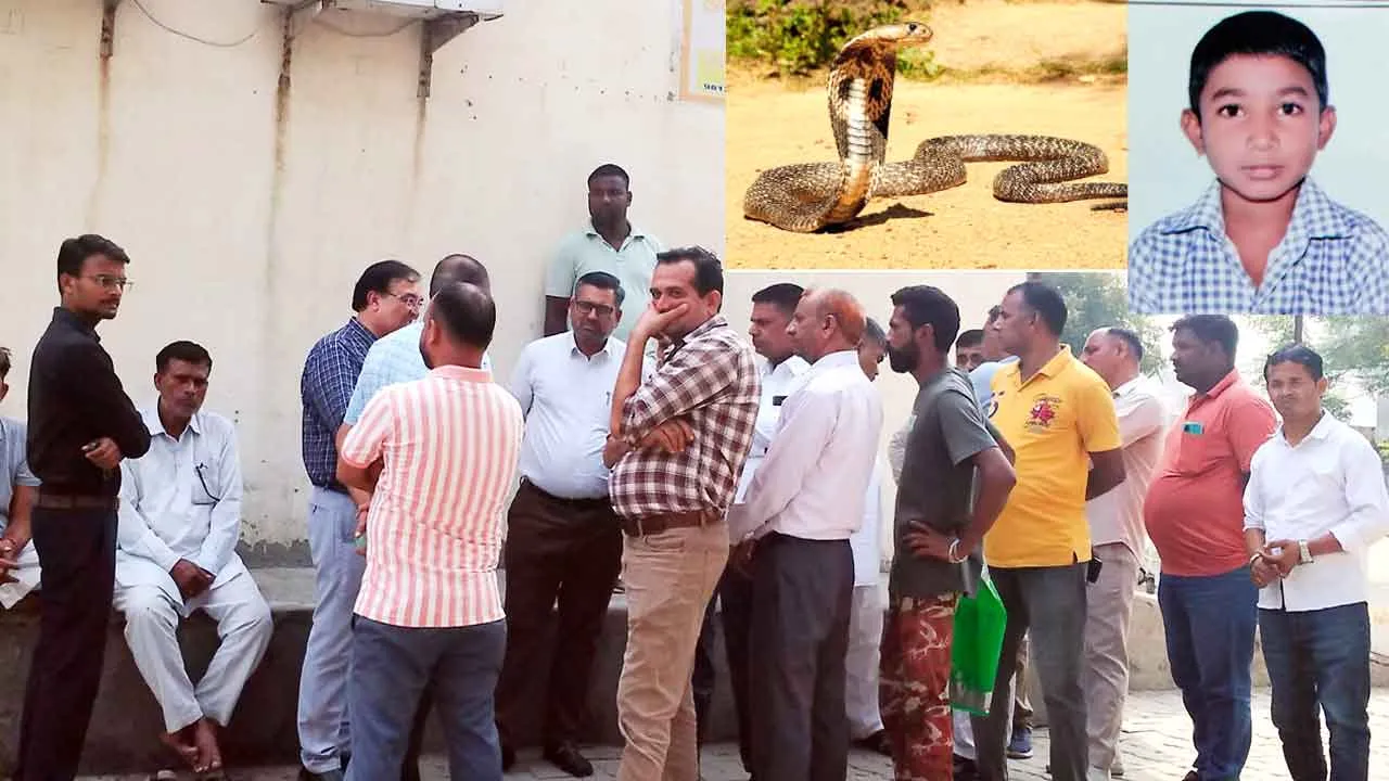 Snake Bites: स्कूल में सांप के काटने के 9वी कक्षा के छात्र की मौत