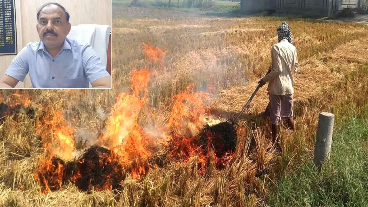 Stubble Burning Case: कैथल जिले में पराली जलाने में गुहला सबसे खराब, कलायत का सबसे अच्छा रिकॉर्ड