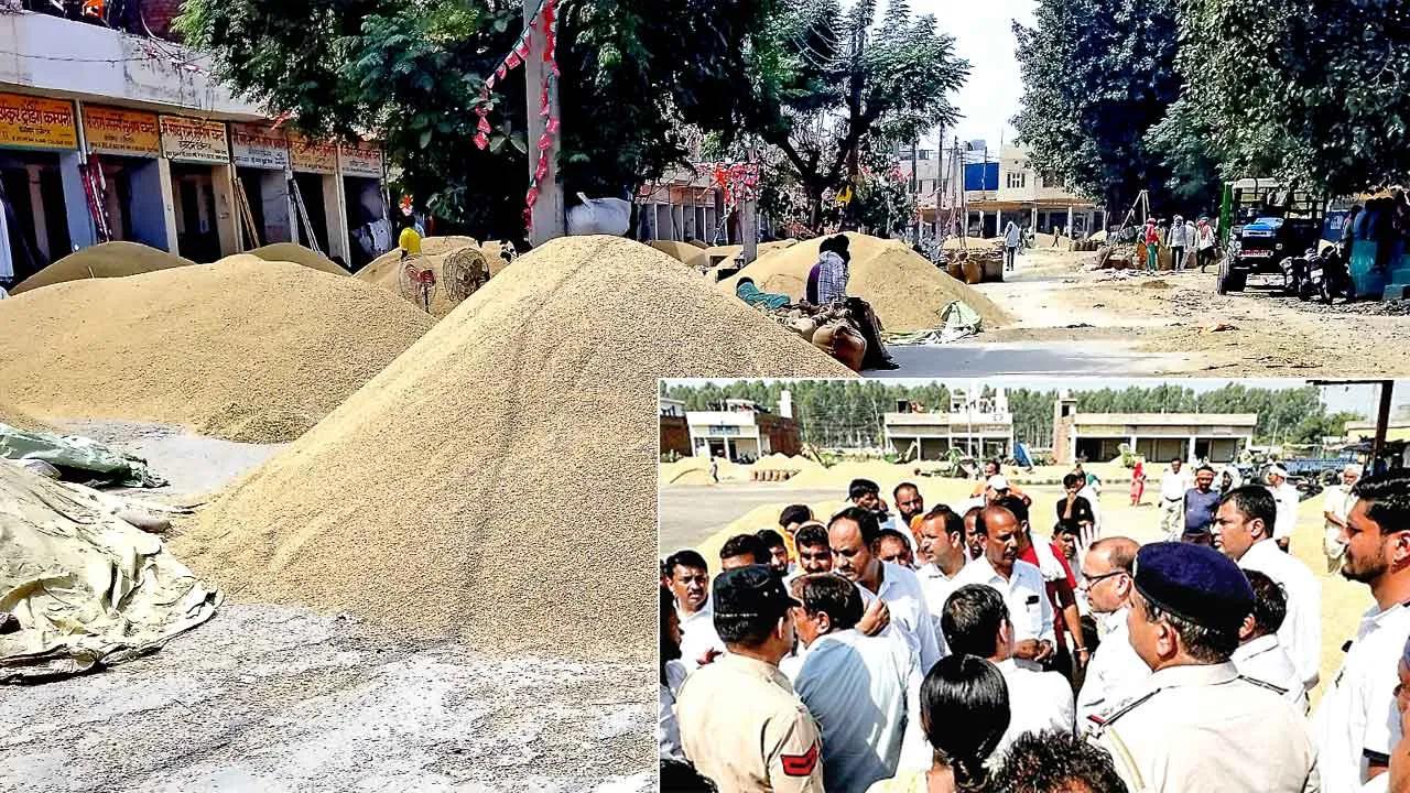 मंडी में जगह न होने के चलते सड़क पर डालना पड़ रहा धान