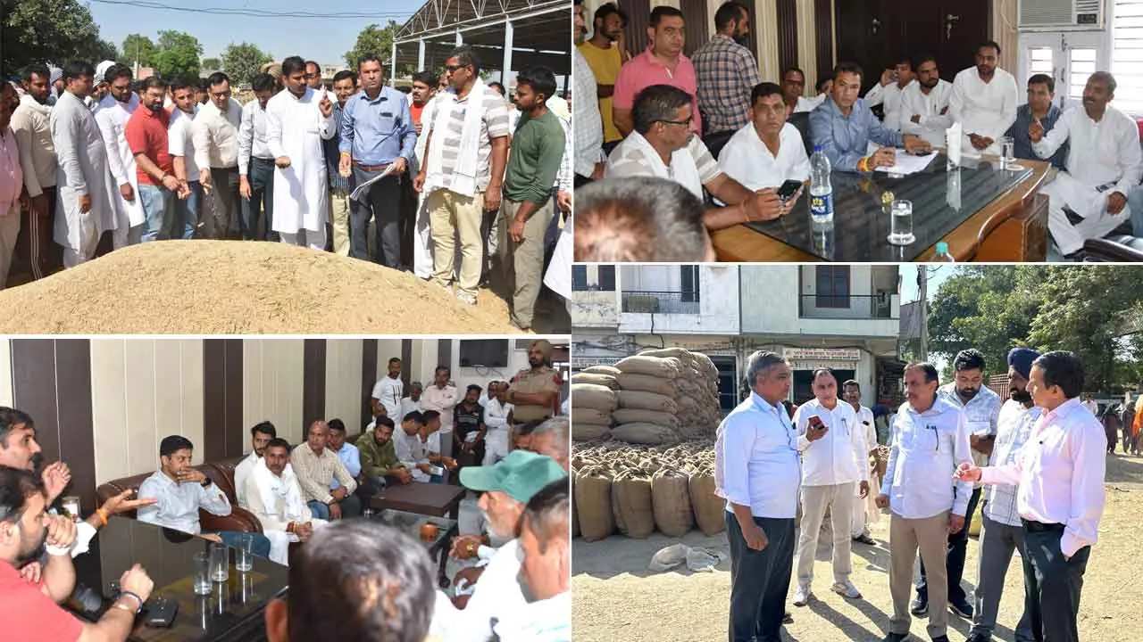 विधायक और अधिकारियों ने किए जिले की विभिन्न अनाज मंडियों के दौरे, खरीद प्रक्रिया का लिया जायजा