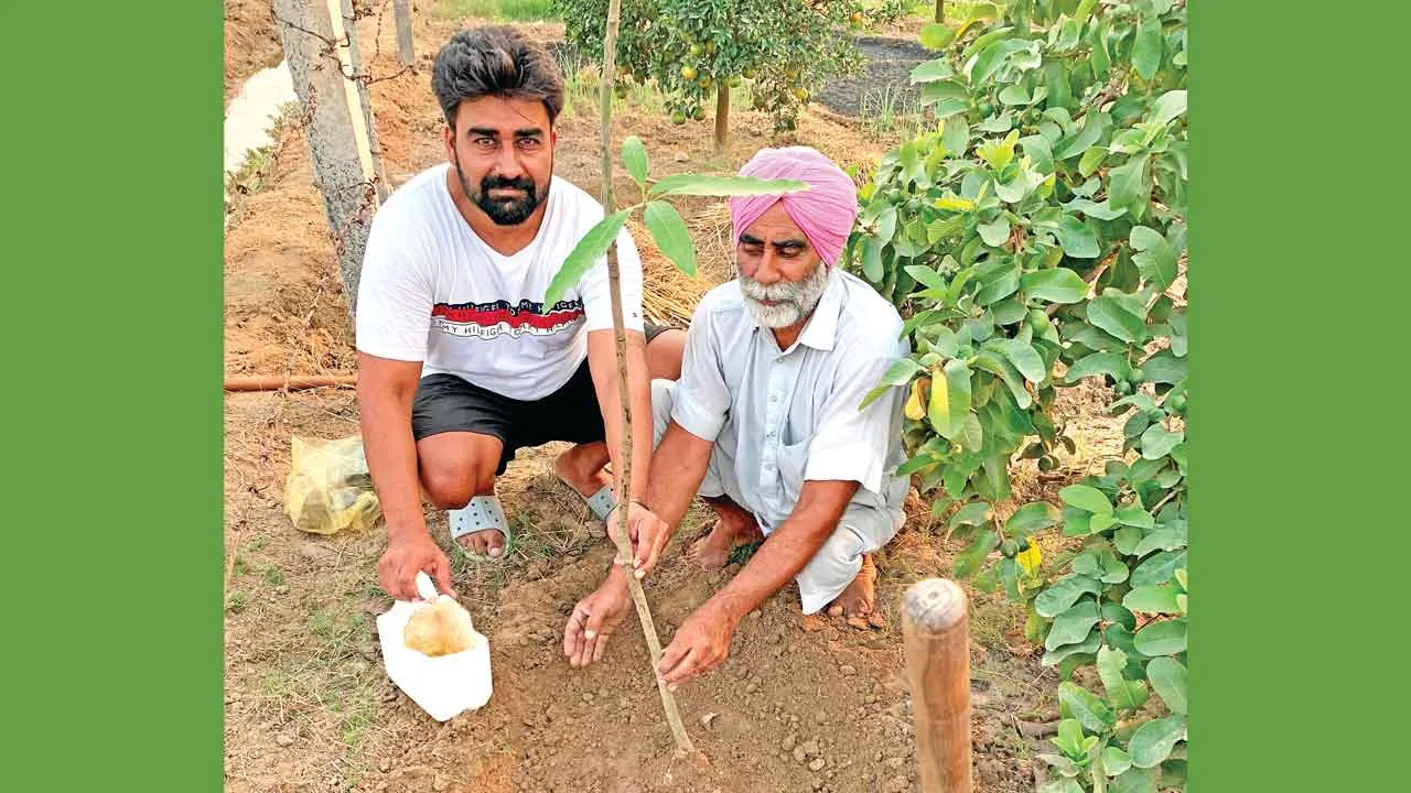 सरसा के इस ब्लॉक के सेवादार ने ऐसे मनाया अपना 57वां जन्मदिन!