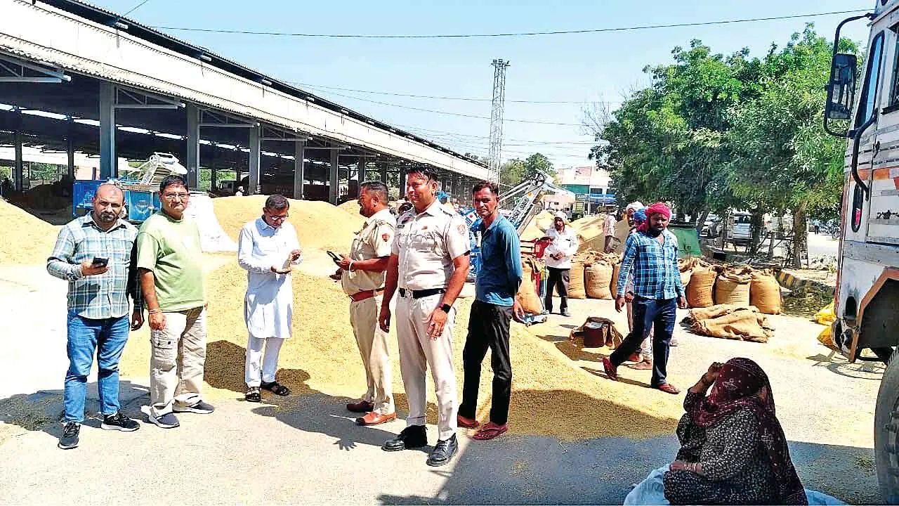 Paddy Procurement: पुलिस की निगरानी में सरसा की मंडियों में धान की हुई खरीद