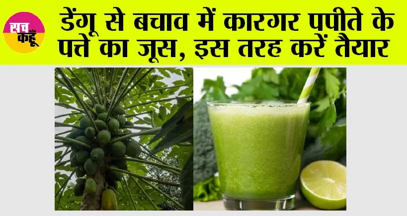 Papaya Leaf In Dengue: क्या आप बदलते मौसम में डेंगू से परेशान हैं? अगर हां, तो इस तरह करे पपीते के पत्तों का इस्तेमाल, बेहद जल्द मिलेंगी राहत