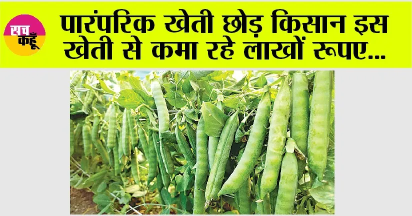 Kisan News: पारंपरिक खेती छोड़ किसान इस खेती से कमा रहे लाखों रूपए