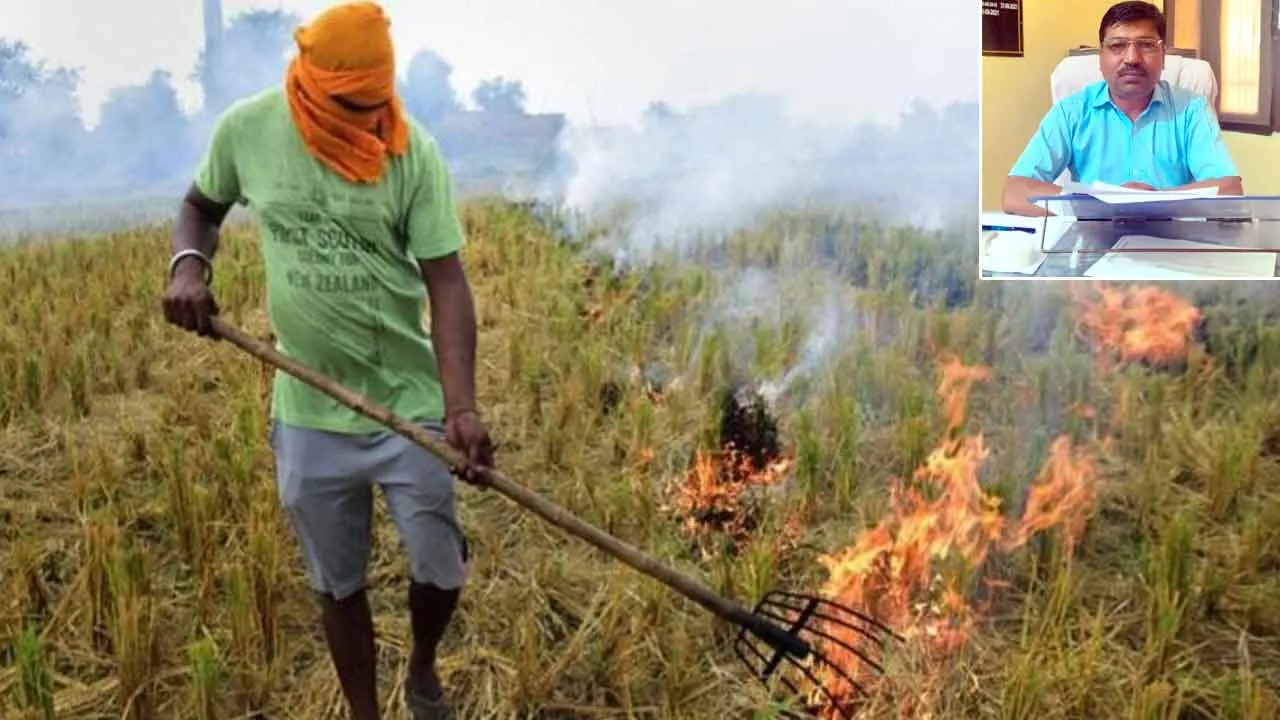 Stubble Burning: पराली जलाने पर पूंडरी में एक और किसान गिरफ्तार