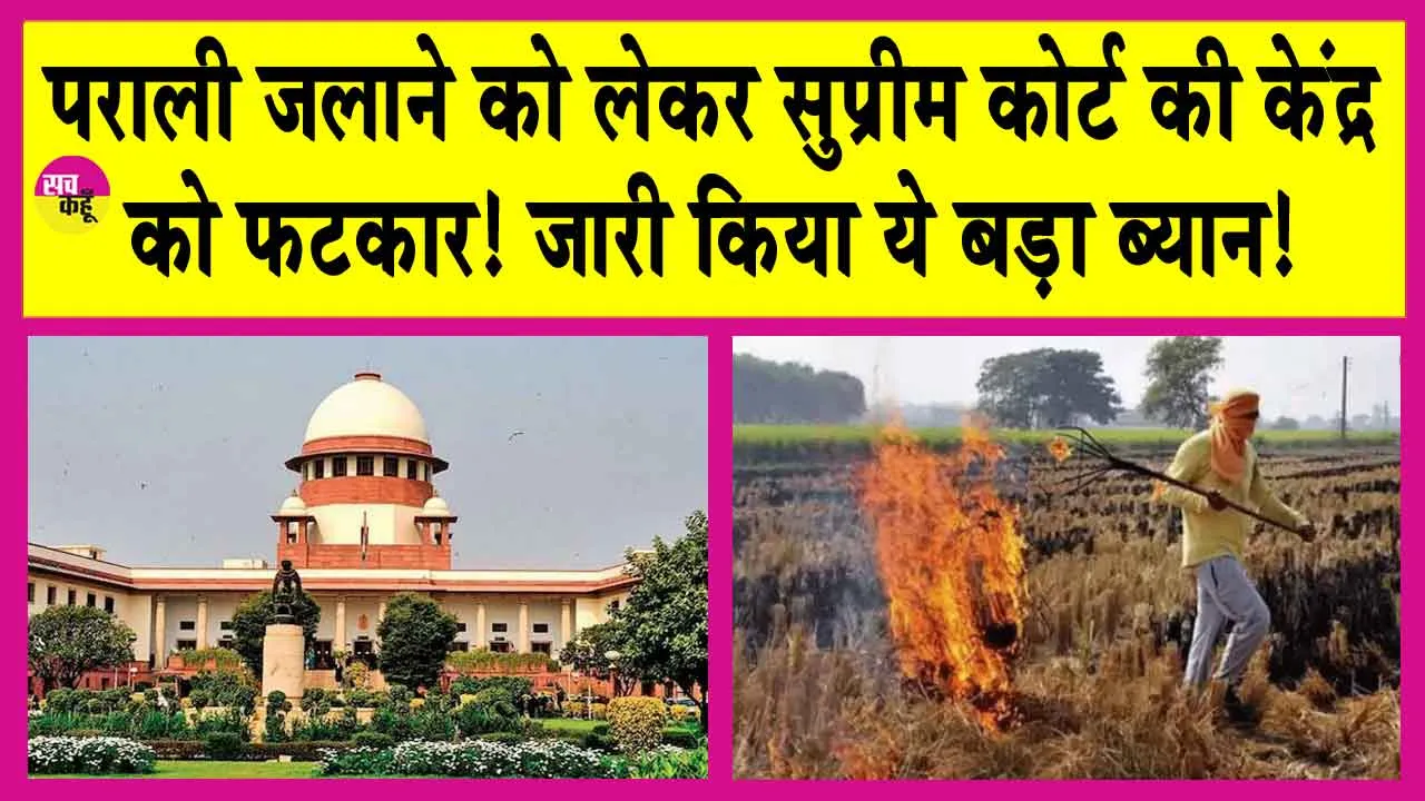 Supreme Court: पराली जलाने को लेकर सुप्रीम कोर्ट की केंद्र को फटकार! जारी किया ये बड़ा ब्यान!