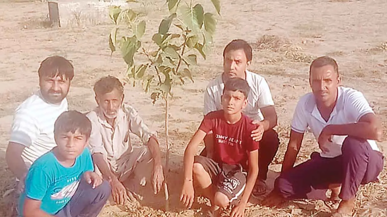 Tree Plantation: लालगढ़ नगरपालिका क्षेत्र की कल्याण भूमि में लगाए 81 पौधे