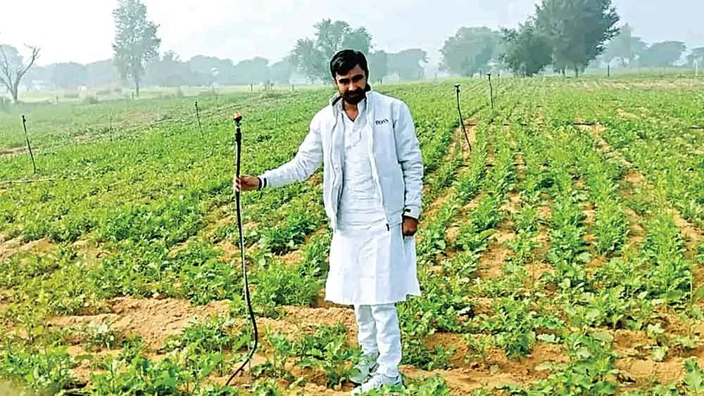 Farmers News: टपका सिंचाई और मिनी स्प्रिंकलर सिस्टम पर दी जाने वाली सब्सिडी का पोर्टल दो सालों से है बंद