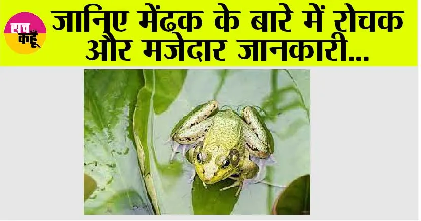 Fun Facts Frog: मेंढक का जीवन चक्र और रोचक बातें