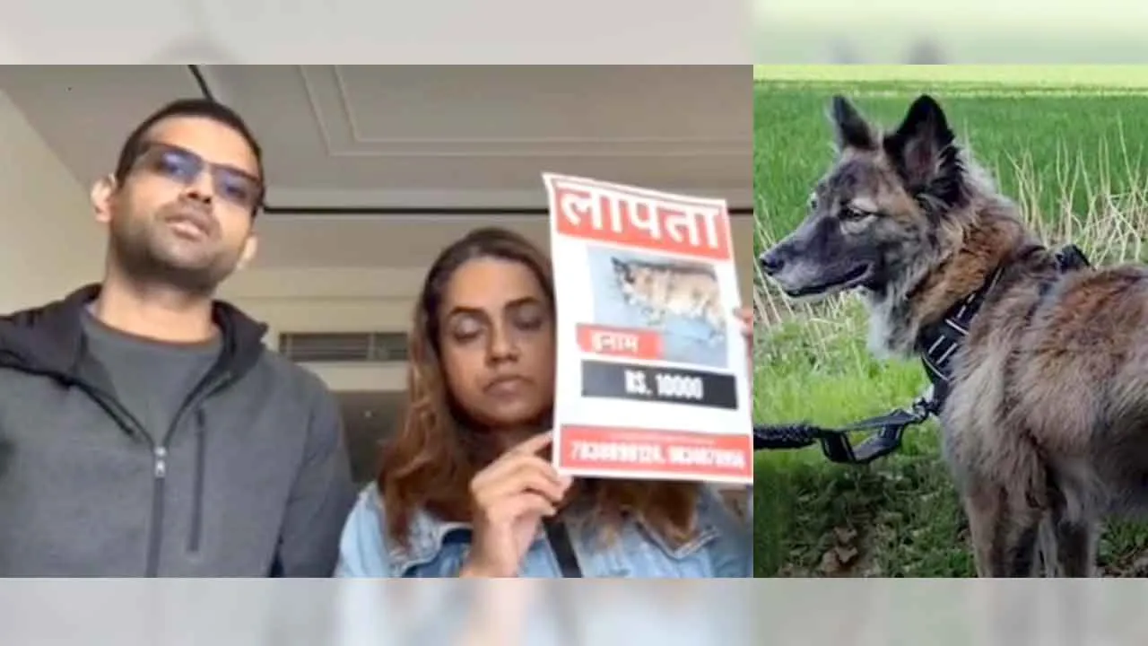 गुरुग्राम: गुम हुए डॉगी की तलाश के लिए रखा 50 हजार रुपये का ईनाम