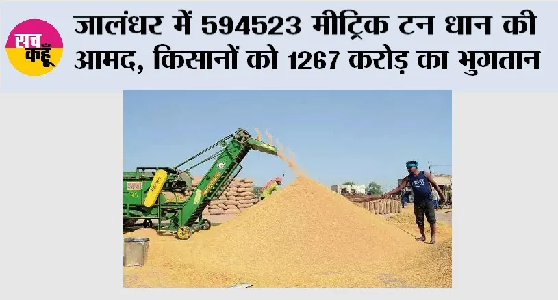 जालंधर में 594523 मीट्रिक टन धान की आमद, किसानों को 1267 करोड़ का भुगतान