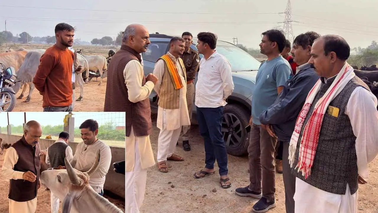 गौशालाओं की व्यवस्थाओं को सुधारने के लिए हो रहा है कार्य – रमाकांत