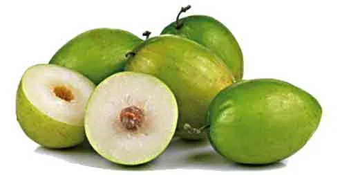 Ber ki Kheti: बेर की खेती