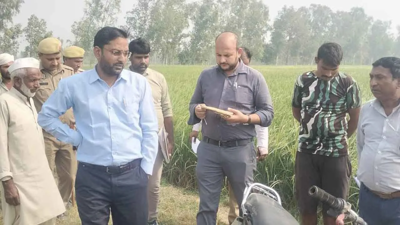 राजस्व टीम ने 32 बीघा सरकारी भूमि से हटवाया कब्जा