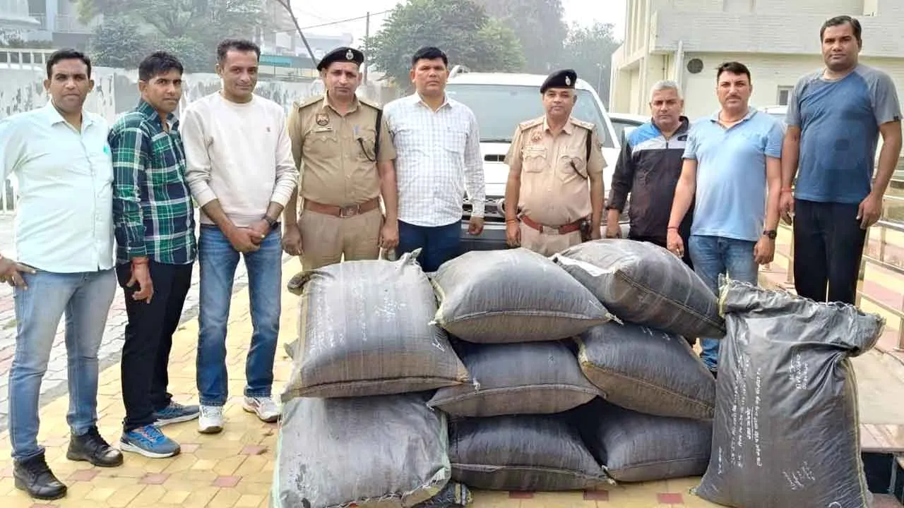 फॉर्च्यूनर गाड़ी से 203 किलो 410 ग्राम डोडा पोस्त बरामद, आरोपी धुंध में चकमा देकर फरार
