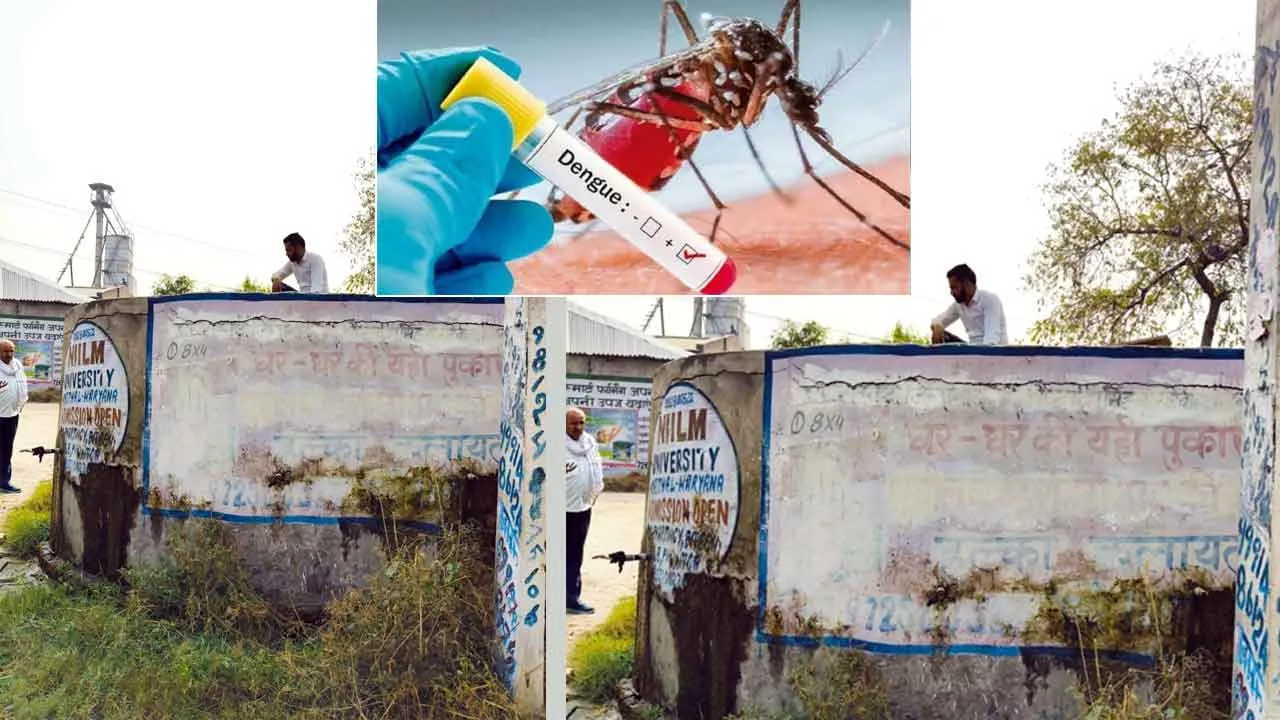 Dengue: कैथल में डेंगू का जोरदार डंक, सीजन में पहली बार एक साथ सात डेंगू पॉजिटिव केस मिले