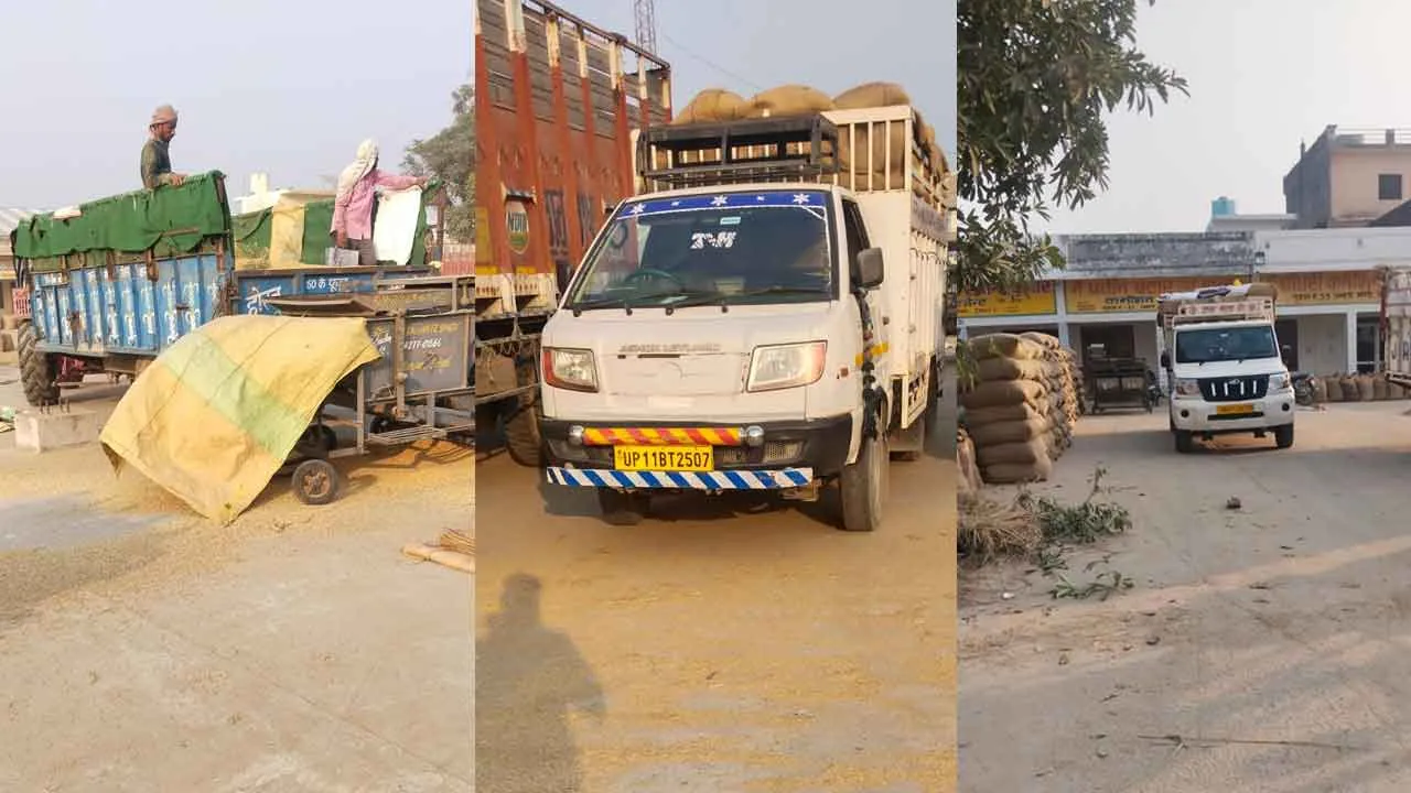 न केवल यूपी व हिमाचल प्रदेश बल्कि उतराखंड का भी धान आ रहा है मंडियों में, फर्जीवाड़े के चलते स्थानीय किसानों को फसल बेचनी पड़ती है औने-पौने दामों पर