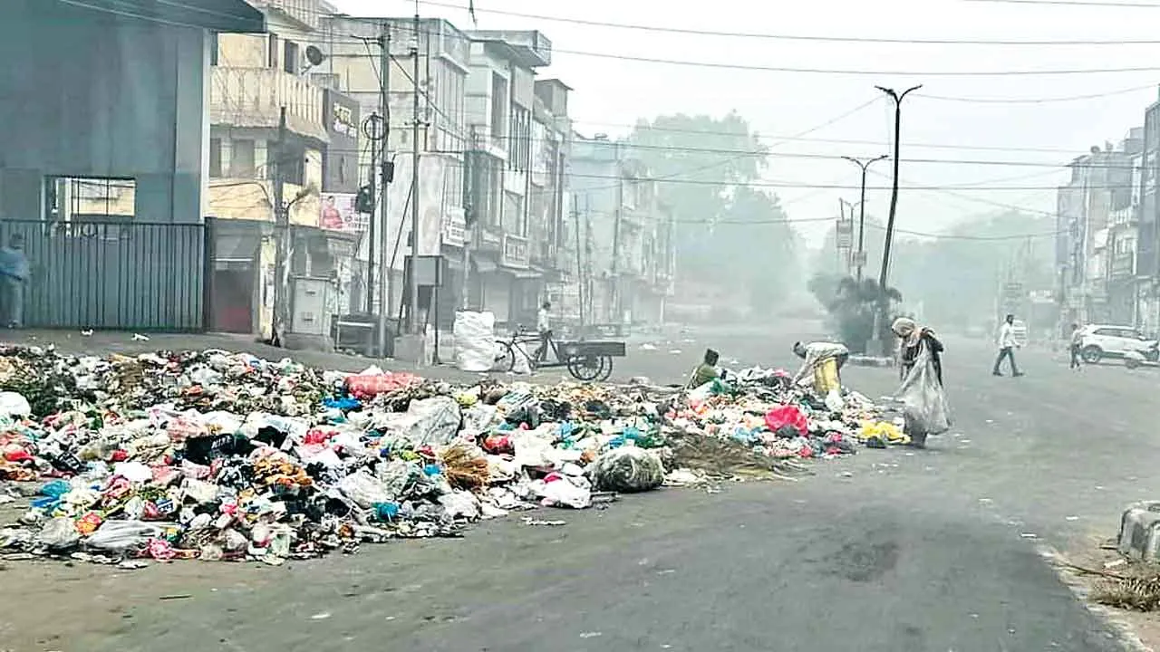 कूड़े की समस्या को लेकर लुधियाना में राजनीति हावी, ममता आशु ने लगाए आरोप