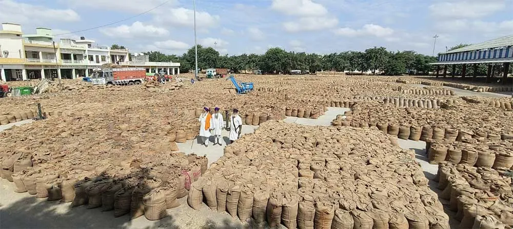 Mandis Closed : खाद्य उत्पाद व्यापार संघ ने जताया विरोध! चार दिन तक बंद रहेंगी 247 मंडियाँ