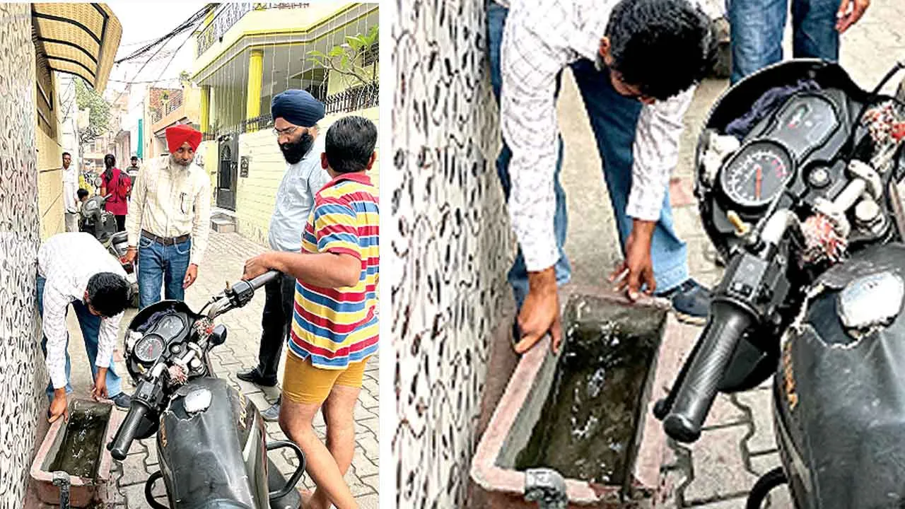 Dengue Case: डेंगू के 402 केस आए सामने, विभिन्न स्थानों पर लारवा भी मिला, किए 9 चालान