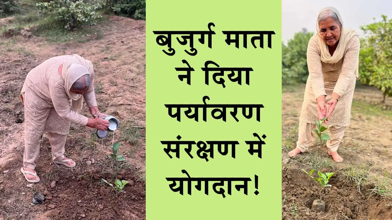 Tree Plantation: कल्याण नगर की बुजुर्ग माता ने अपने 70वें जन्मदिन पर दिया पर्यावरण संरक्षण में योगदान