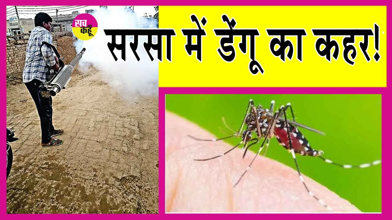 Sirsa Dengue News: सरसा में डेंगू का डर! 7 को और लगा डंक!