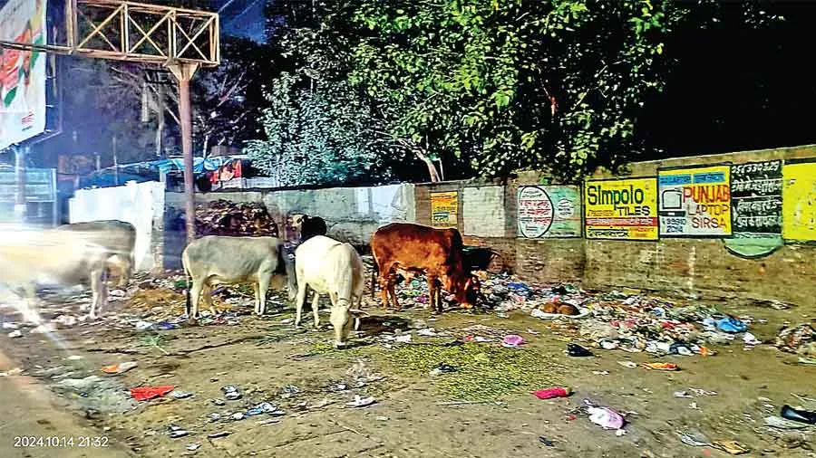Health Problem: शहर के लोगों को बीमार कर रहे डंपिंग प्वाइंट्स