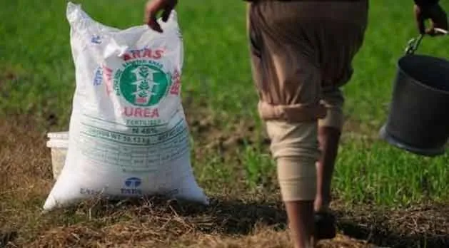 Fertilizer: किसानों के लिए आई खाद में गड़बड़झाला, हिसार के 6 खाद विक्रेताओं का लाइसेंस सस्पेंड