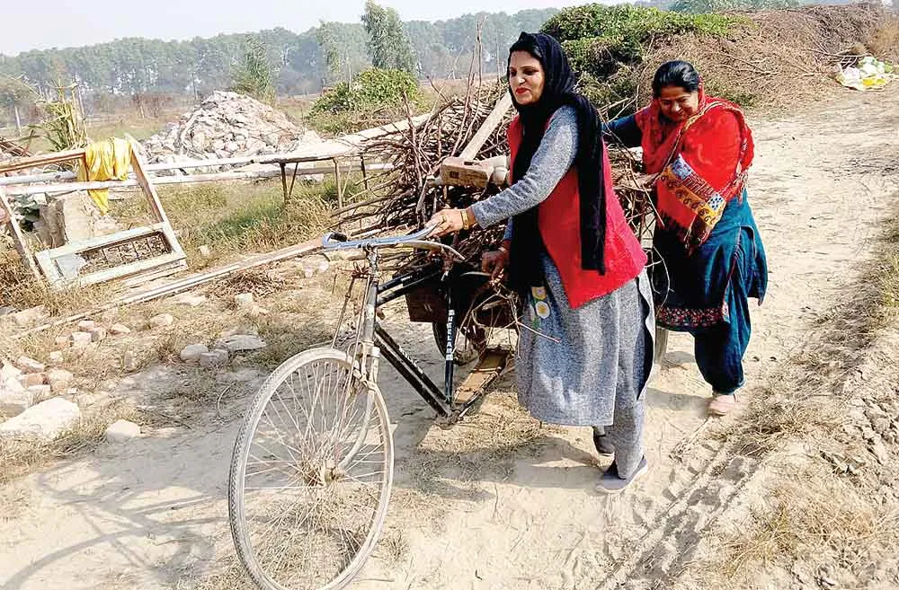 Dabwali Cleanliness Campaign: डबवाली मानवता भलाई केंद्र डेरा सच्चा सौदा में चलाया सफाई अभियान
