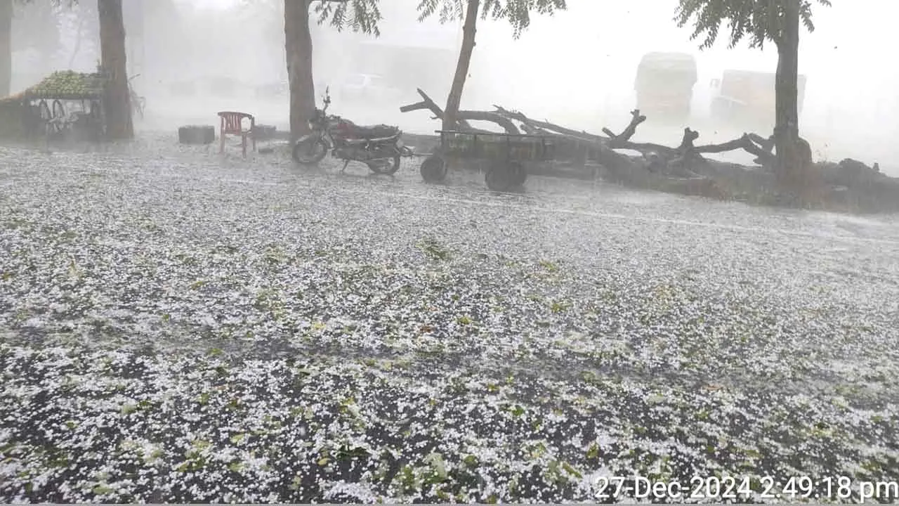 Haryana Weather: शिमला का नहीं, जनाब ये हरियाणा का रोड है!