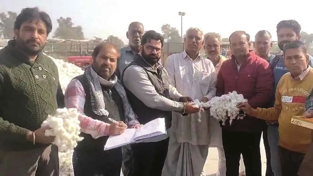फाजिल्का मंडी में कपास की सरकारी खरीदी शुरू