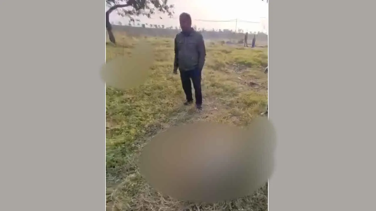 करनाल में केमिकल युक्त पानी पीने से 20 भेड़ों की मौत, तड़प तड़प कर मरी भेड़े, पुलिस बोली-शिकायत पर होगी कार्रवाई