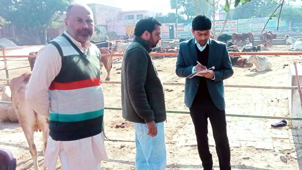एसडीएम ने गौशालाओं का किया निरीक्षण, दिए निर्देश