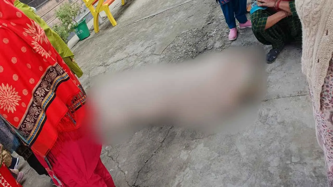 हरियाणा में छोटे बेटे ने रोका बुजुर्ग पिता का दाह संस्कार, हत्या का लगाया आरोप, पुलिस ने शव का पोस्टमार्टम करवाया