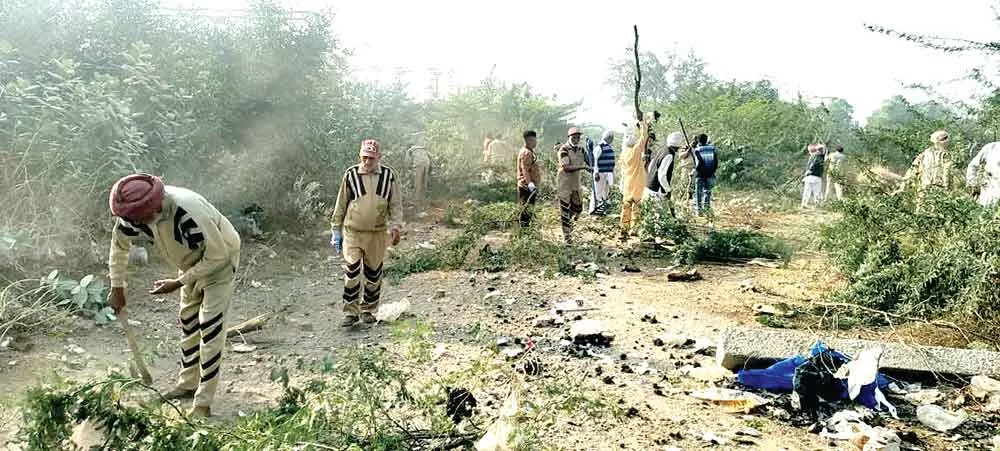Sangaria Cleanliness Campaign : कंटीली झाडियों से युक्त रास्ता बना अब चमन! डेरा सच्चा सौदा के महायज्ञ से हुआ ये कमाल!