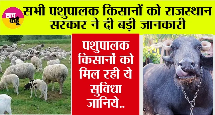 Rajasthan News: सभी पशुपालक किसानों को राजस्थान सरकार ने दी बड़ी जानकारी, मिल रही है ये खुशखबरी